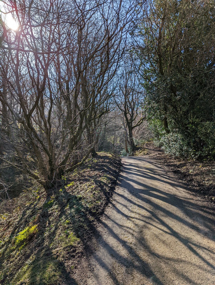 Ellie-May Redfern MPhil, BSc tweet media