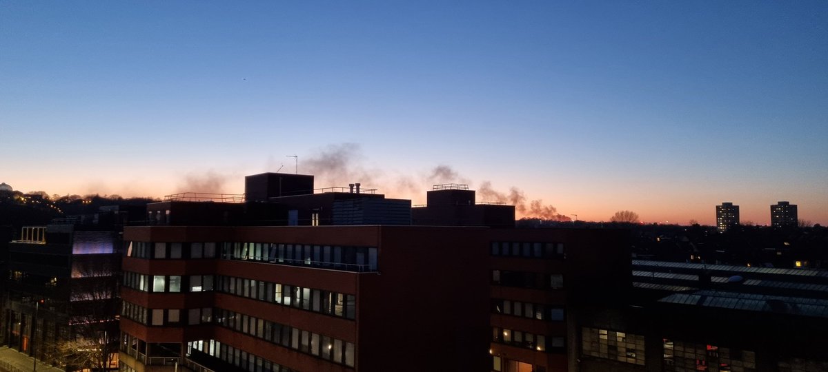 KateFace tweet media