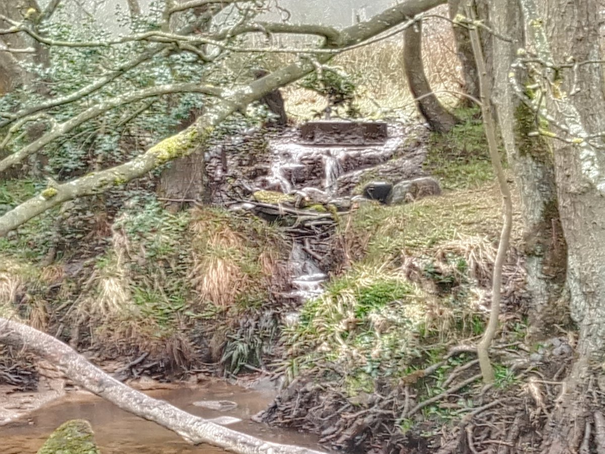 nicktho1's tweet photo. After notifying @YorkshireWater that there sewer was blocked n overflowing into my river last June then November and again last week this is what they leave me. Never mind the poorly livestock iv had to deal with. 🤷🏻‍♂️😭 https://t.co/eLLT2r2qn2