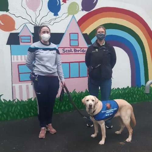 🦉Anthony Kearney Photography on Twitter "RT irishguidedogs