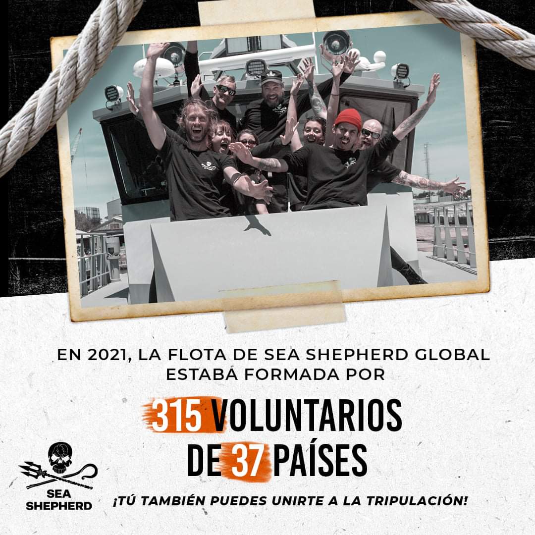 Sea Shepherd España tweet media