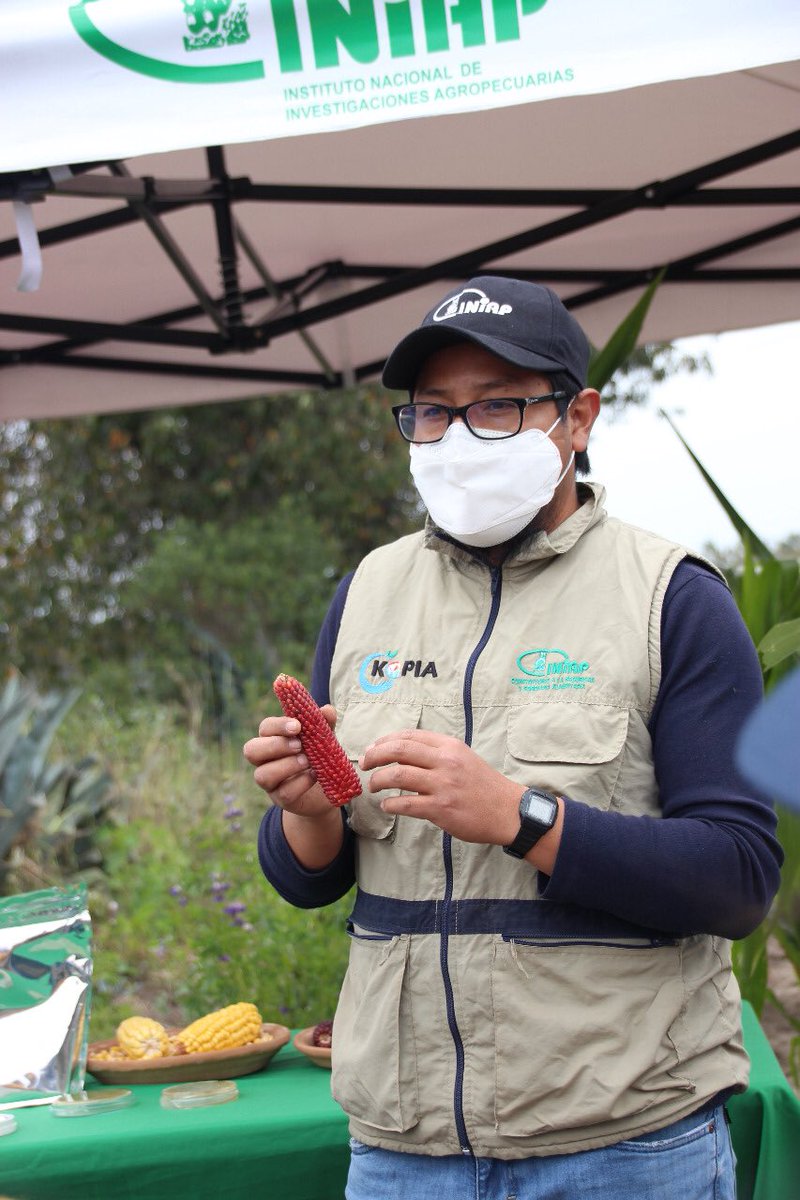 INIAPECUADOR: #Cotopaxi | Realizamos un Día de Campo en el barrio Pilacoto de Guaytacama, donde presentamos a los productores de la zona, las tecnologías desarrolladas por el Programa de Maíz de la Estación Experimental Santa Catalina con la cooperación …