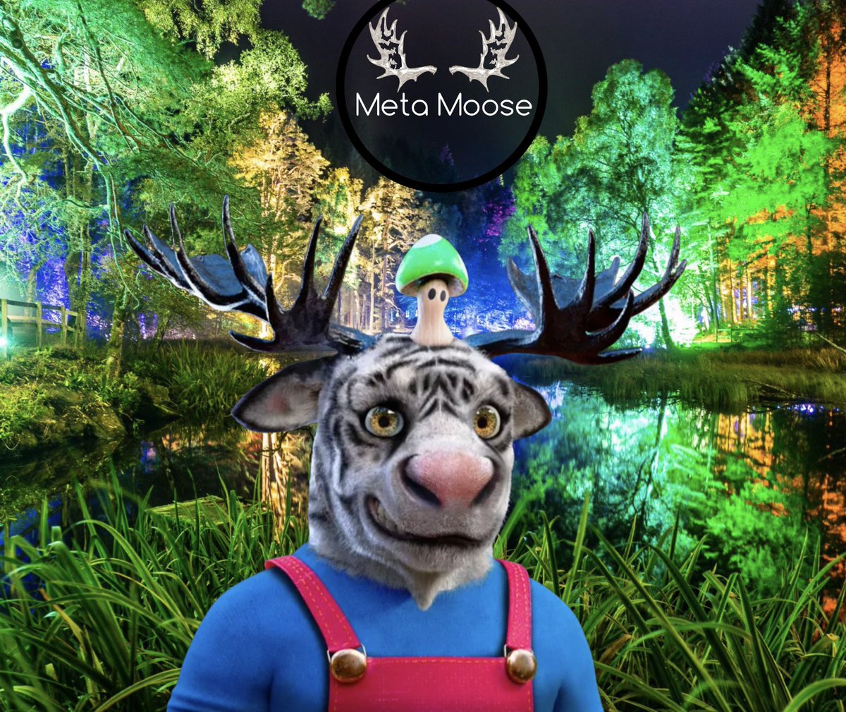 gemgirldj's tweet photo. Had our first AMA with new owner @xmoosenft yesterday, to say that our community is hyped is an understatement. Positive vibes only. Need that in these crazy times. Head to OpenSea now and get a moose before rebrand cuz right now, there’s great deals on the floor..not 4 long tho https://t.co/EBGXChkasu