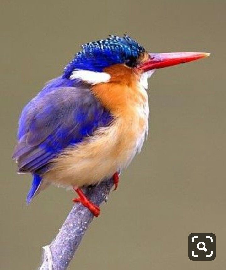 Karen Bell (KarenBel16) / Twitter