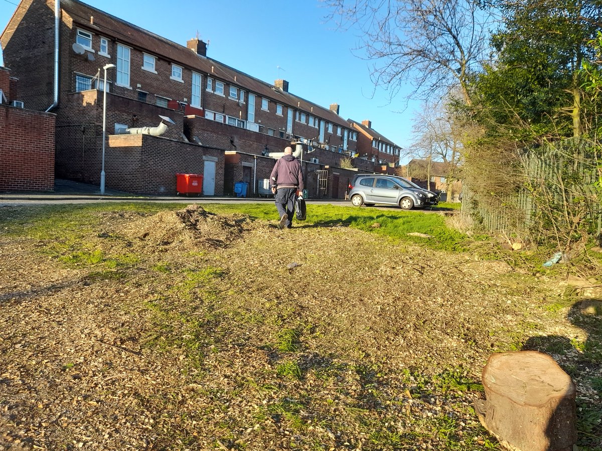 FriendsDrive's tweet image. Thats dedication Thomas, My hero💚 still full of a heavy cold but made time to help me shift 20 barrows before tea...
Lots to do tomorrow and over the next few weeks getting the space ready for its imminent use by local schools and community groups.
