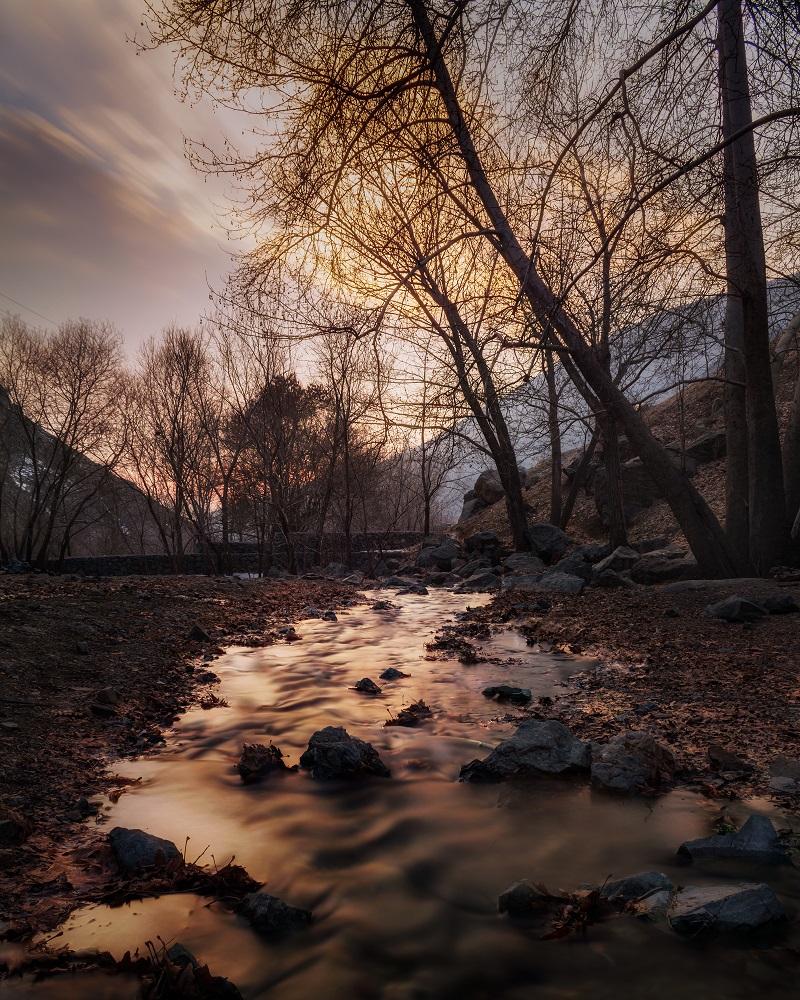 BenyaminFarhang's tweet image. ⭐ New drop:
"Golabdarreh"
1/1 @ 10 $tez

⬇️⬇️⬇️
hicetnunc.xyz/objkt/700859
⬆️⬆️⬆️
#nftbuyers #Retwitte #NFT #NFTdrop  #Tezos #newdrop #nonfungible #digitalasset #nft #photography #landscape #landscapephoto #tree #sunset #goldenhour #mrnftiran #tntnft
#single_tree via @hicetnunc2000