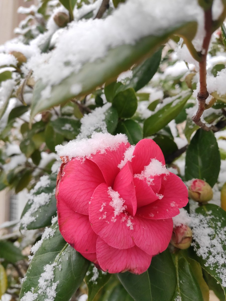 Rıdvan Çavuş (@dvancavus) on Twitter photo 