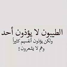 شايب تويتر tweet media