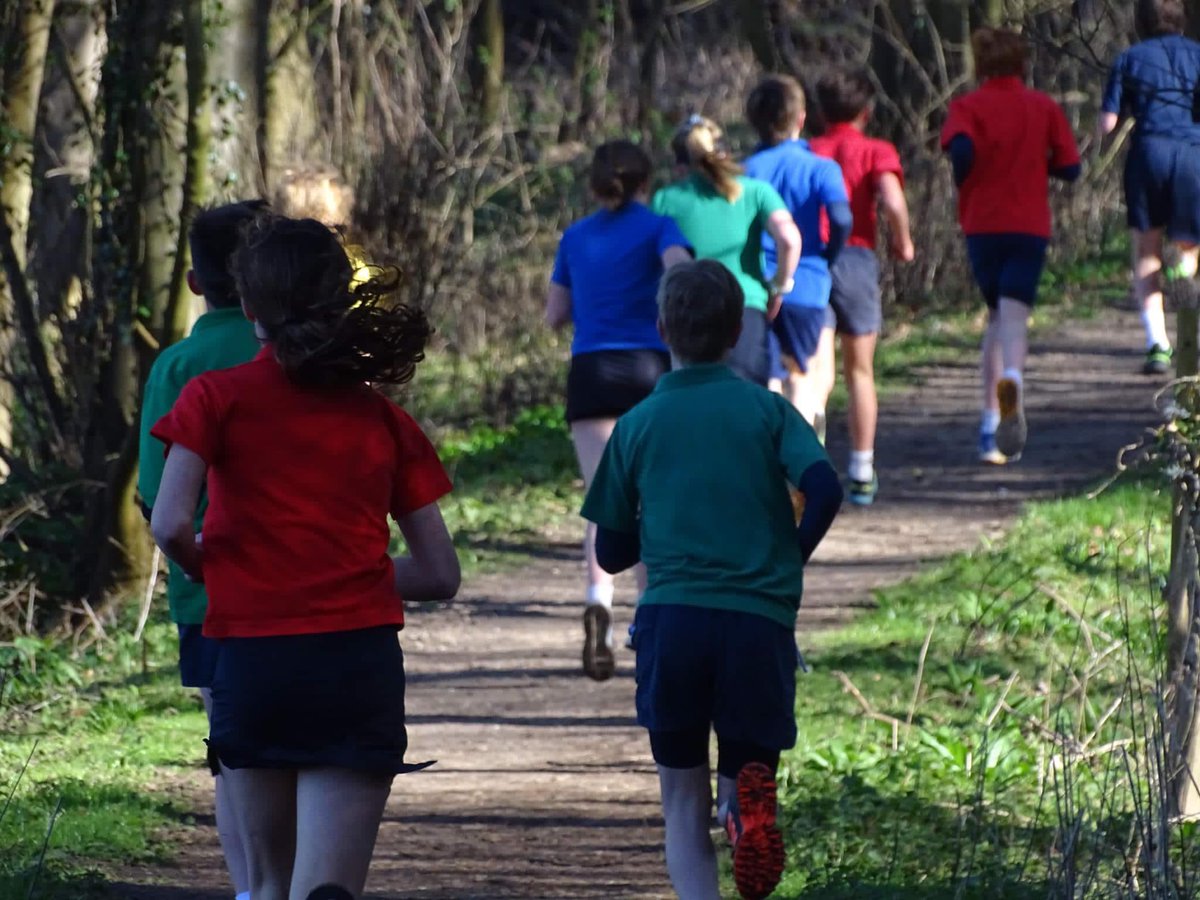 Beeston Hall Sport tweet media