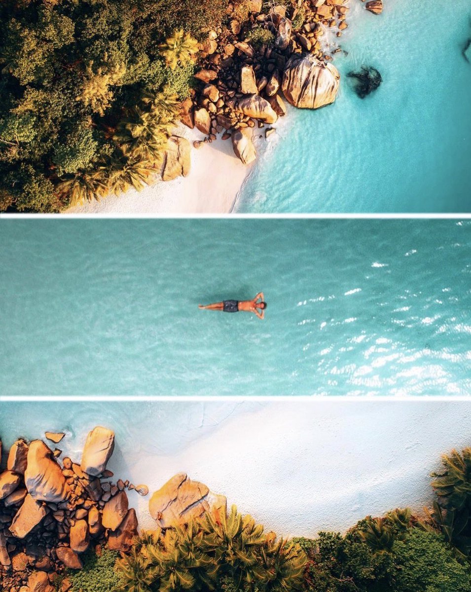 Stay Palm, Grab a coconut 🌴