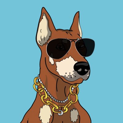 Cryptokish1's tweet photo. #NewProfilePic https://t.co/unkk69z5gd