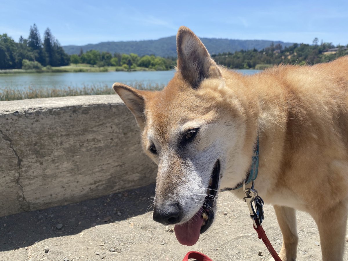 Dean Takahashi tweet media