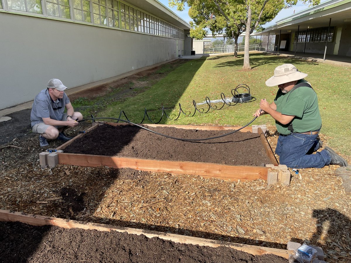Tanya Long CVUSD (@tanya_h_long) on Twitter photo Teacher spouses are the best volunteers. Using their expertise to install the drip line in our school garden. #community #schoolgarden <a href="/GreenfieldCVUSD/">Greenfield Middle</a> Teacher spouses are the best volunteers. Using their expertise to install the drip line in our school garden. #community #schoolgarden <a href="/GreenfieldCVUSD/">Greenfield Middle</a>