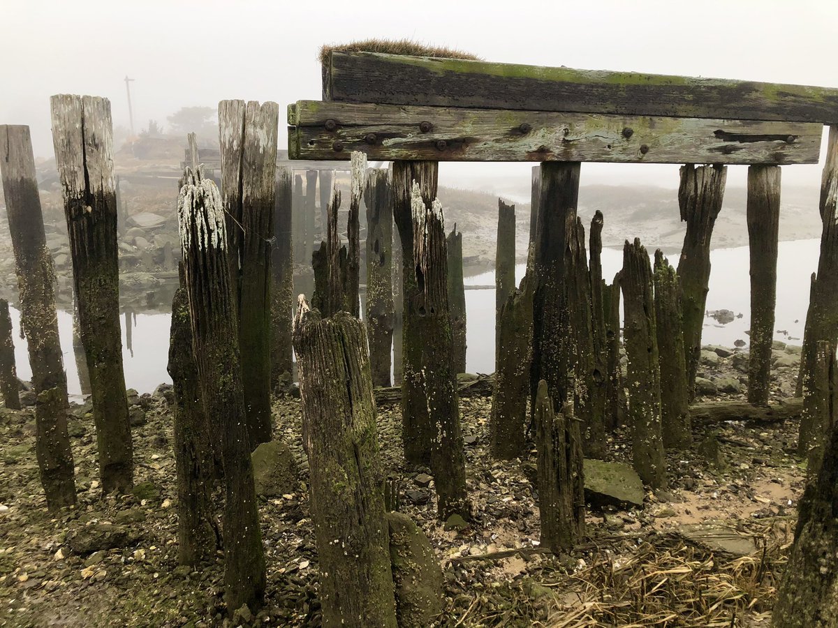 petermarteka's tweet photo. I’ve always been fascinated with ruins. Here’s what is left of the old Duck Creek train trestle that once took the Old Colony Railroad north to Provincetown and how it looked back in the day. #Wellfleet https://t.co/5r9pnoIDpZ