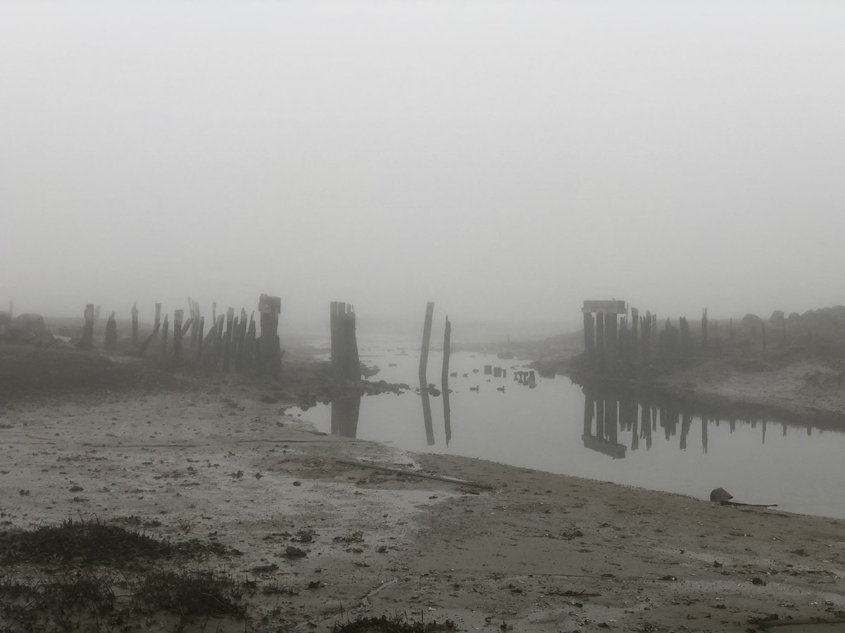 petermarteka's tweet photo. I’ve always been fascinated with ruins. Here’s what is left of the old Duck Creek train trestle that once took the Old Colony Railroad north to Provincetown and how it looked back in the day. #Wellfleet https://t.co/5r9pnoIDpZ