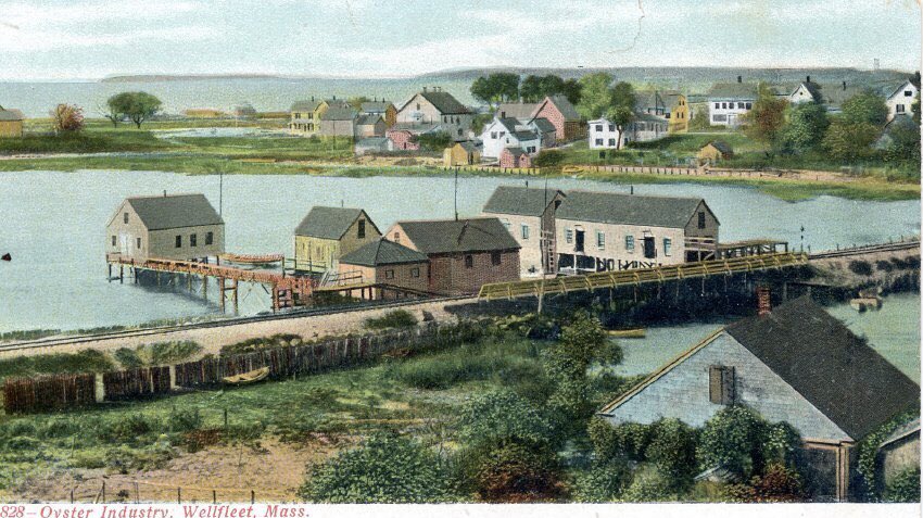 petermarteka's tweet photo. I’ve always been fascinated with ruins. Here’s what is left of the old Duck Creek train trestle that once took the Old Colony Railroad north to Provincetown and how it looked back in the day. #Wellfleet https://t.co/5r9pnoIDpZ