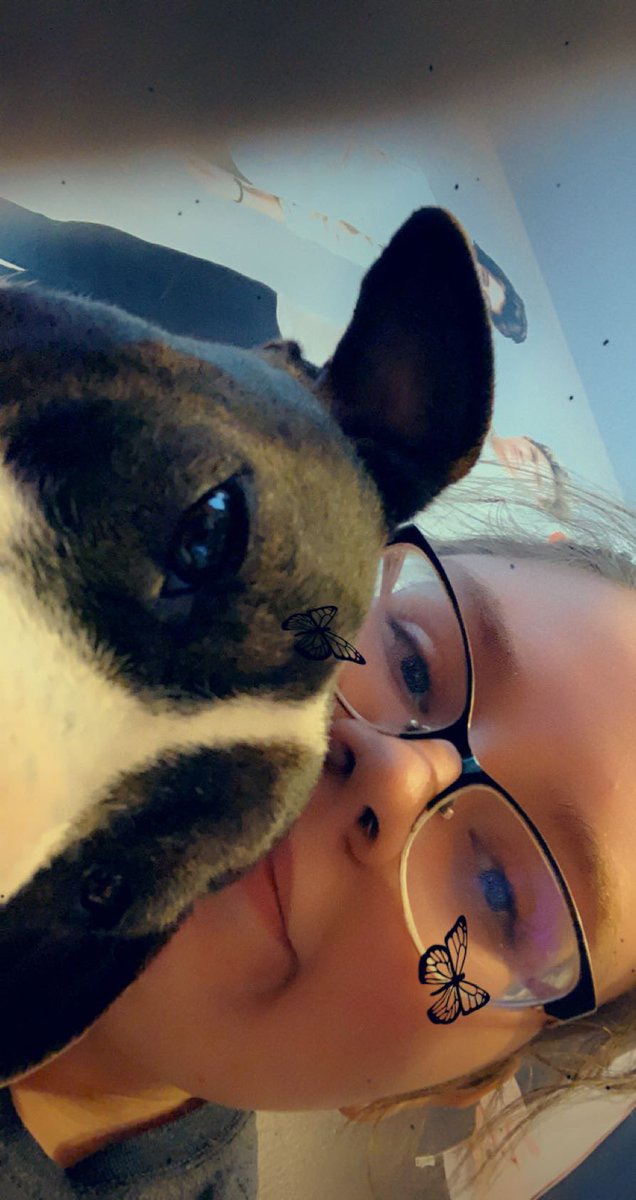 bashfuljess's tweet photo. happy #saturdayswithkevin !! im beyond hyped to see the video today! kevin ilysm! i hope y'all are having a great day! stay safe!!! <333 ps i thought we could match with our dogs :D #keepingupwithkevin #bubnation https://t.co/HU6Hb9LzBK