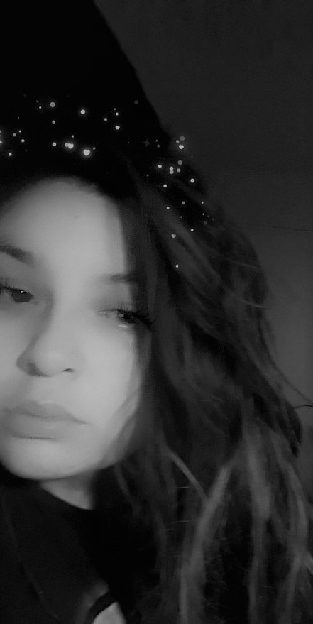 ivy! | dms open tweet media