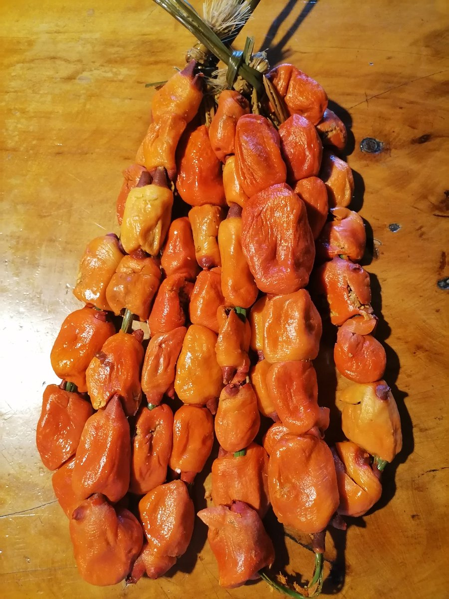 karinasalasborq's tweet photo. Paso el "dealer"
La guenes!
#piures
Pa' la tiroides 🤦♀️🤦♀️🤦♀️ https://t.co/ole3sPoezX