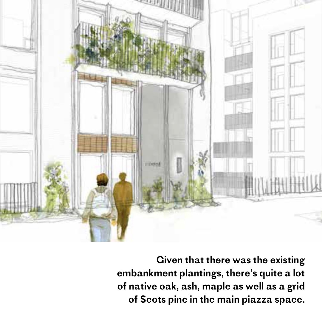 middleyardldn's tweet photo. The planting has been quite carefully considered to give seasonal variation. We’ve used native broadleaf lime trees. We’ve used herbaceous and low-level planting. 

Register your interest in Middle Yard online 🖱️  https://t.co/TK3jZqDNGX https://t.co/hJ39upR6YW