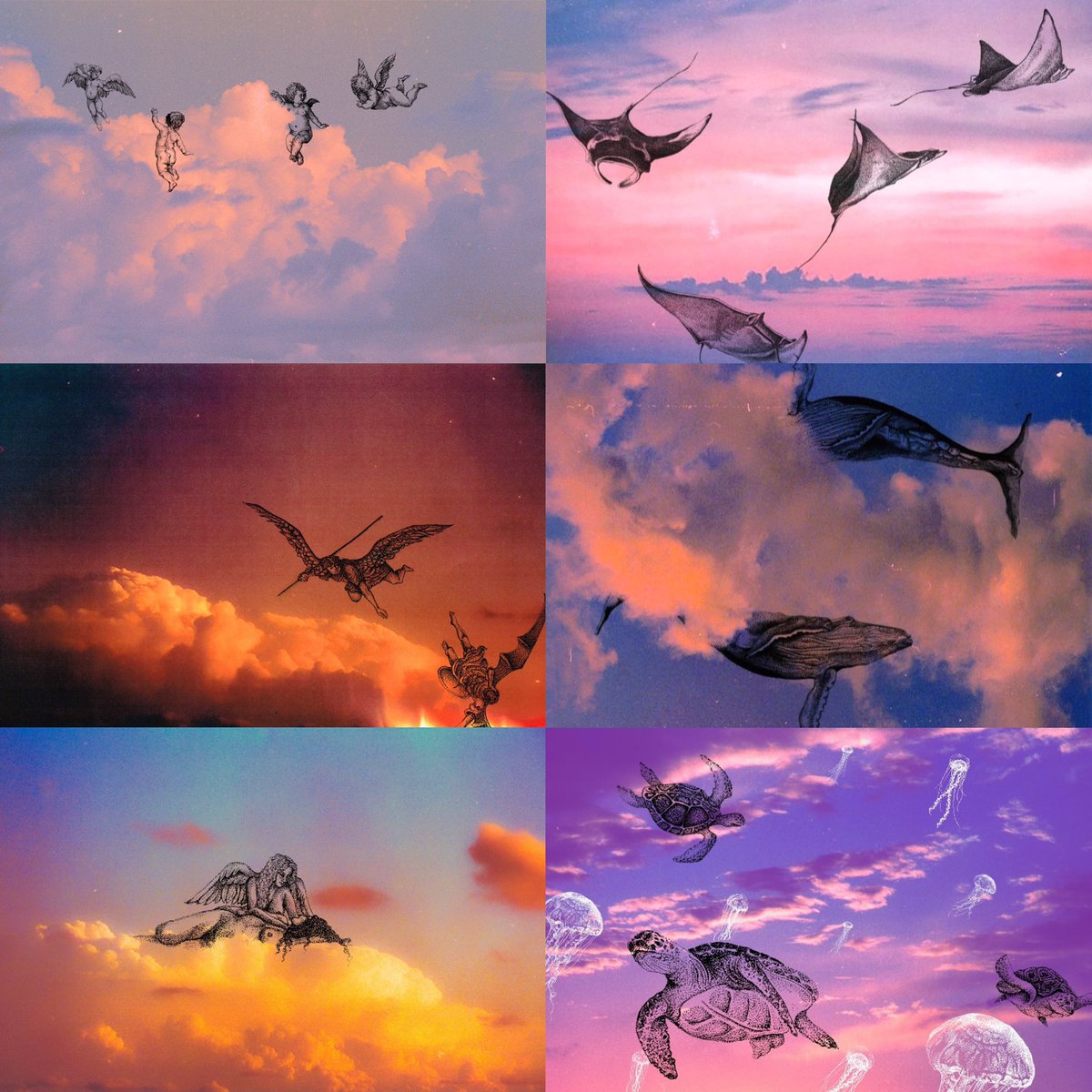 Roni James tweet media