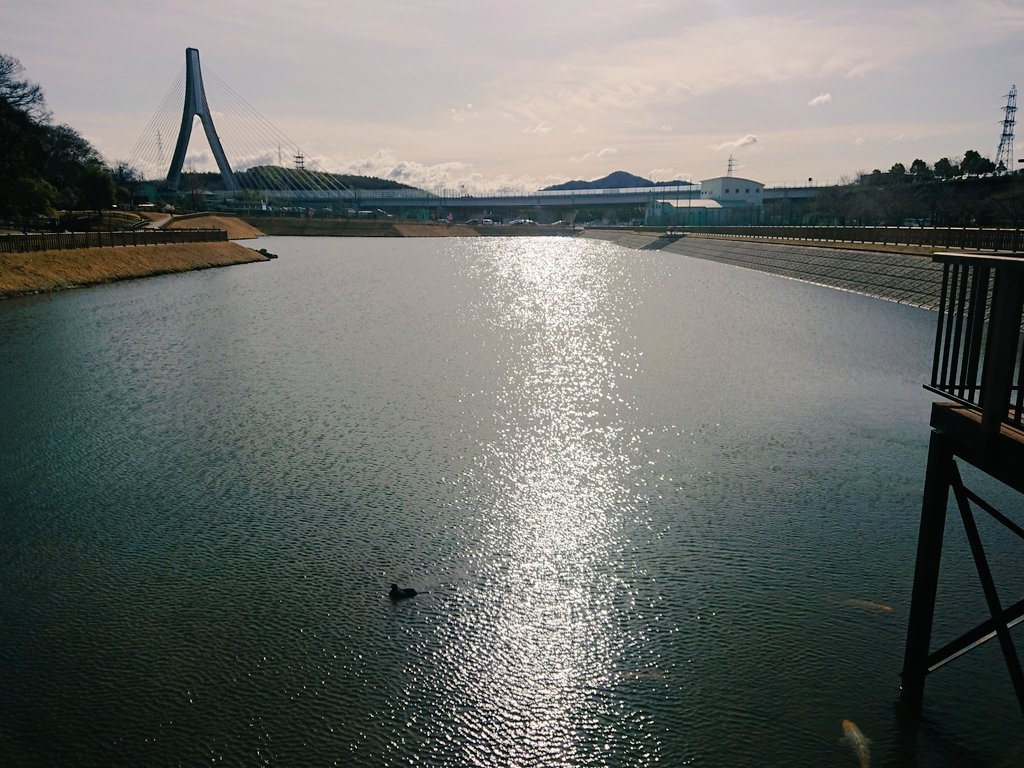mikawa_girl's tweet photo. 2022年3月19日(土)
#豊田市の今日の風景
昨日の雨から一転
すっきりと晴れた
#片田舎豊田市 の
三連休は
散歩でスタート
空から降ったの?って程、たくさんのミミズが歩道に散らばっていたw
写真は朝の河合池
近頃
#JulianaHatfield の
#ThePolice カバーばかり聴いてる
特に、#DeDoDoDoDeDaDaDa https://t.co/atsitYQrtv