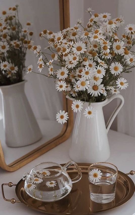 aestheticspost_'s tweet photo. https://t.co/FWS9K0elSP