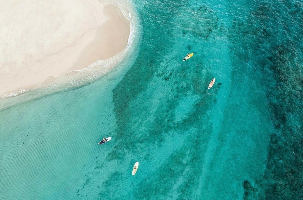 KewlCharters's tweet photo. Nothing like that crystal clear Caribbean water.​​​​​​​​
📷: @virginlimitededition ​​​​​​​​
.​​​​​​​​
.​​​​​​​​
.​​​​​​​​
.​​​​​​​​
#bvi #usvi  #caribbean #bvisailing #bvicharters #watertaxi #islandtours  #virginislandsvacations #islandhopping #cigare… https://t.co/TQ4tzU3hYP https://t.co/oVj5iSPVWq