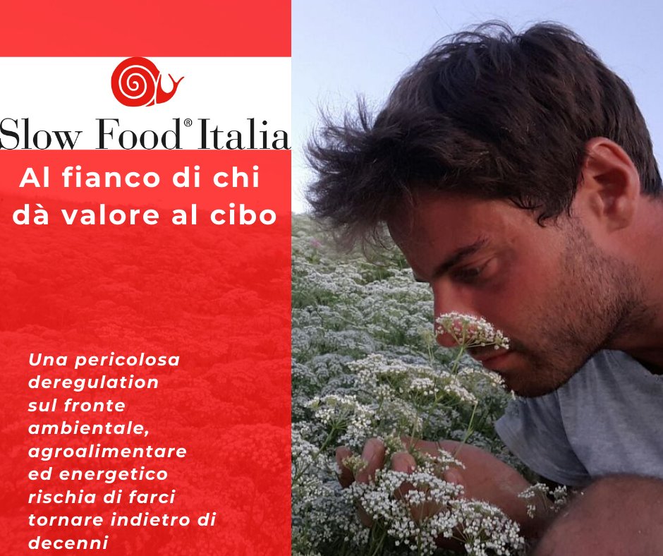 Si propone di coltivare in modo intensivo colture che necessitano di tanta #acqua (ma se non piove da mesi?!), si vuole aprire agli #Ogm, si parla di ritorno al #carbone. Slow Food continua a sostenere chi crede in #agroecologia, #biodiversità, #salute del pianeta e dell'uomo