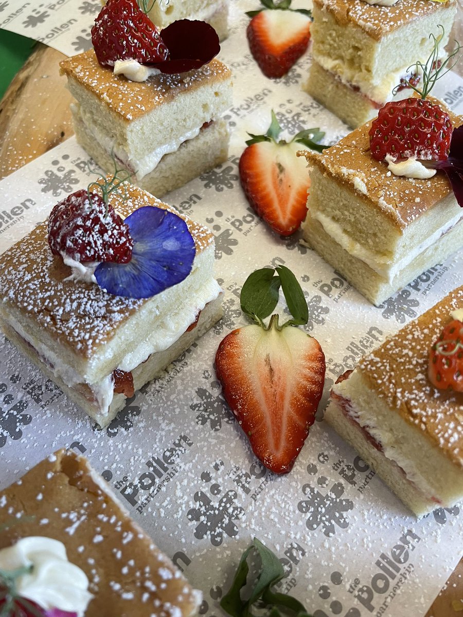 kevin Vine tweet media