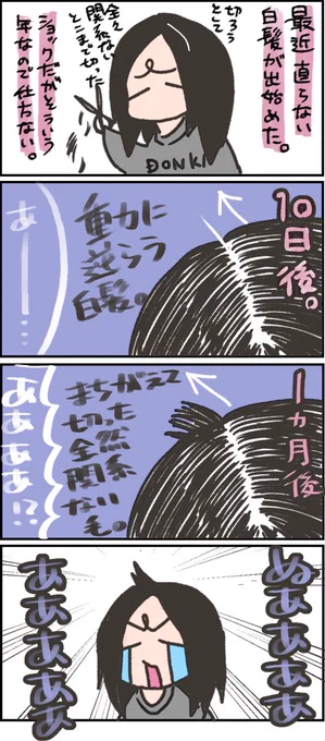 最近やらかしたどうでもいい話です。 