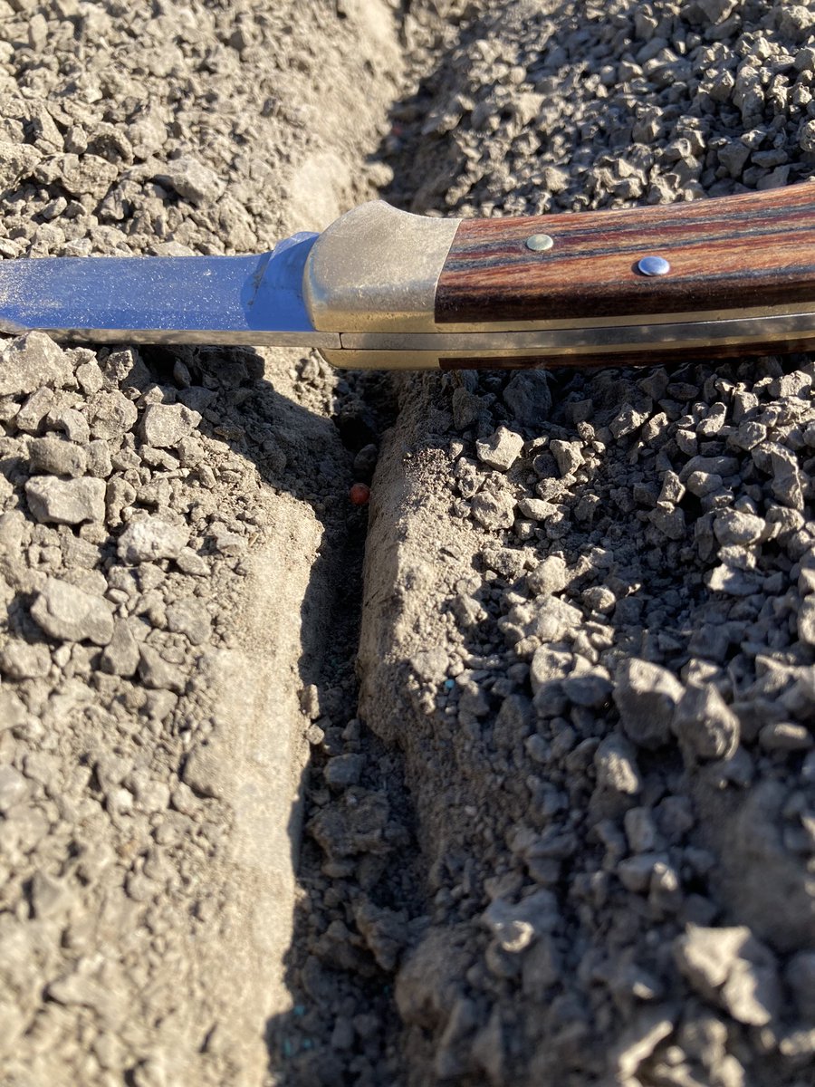 eddyboonman's tweet image. Suikerbieten gezaaid #kws  tessila,  in de vaste grond . Gezaaid  Kverneland schijven machine #vydate land klaarleggen met frontfrees en rotor eg en voor zaai aanrollen