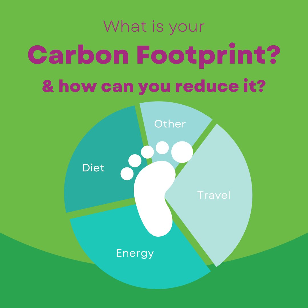 Shopforclimate's tweet image. We’ve created a comprehensive 8 steps guide to make reducing your impact easy.

shopforclimatechange.com/how-can-i-redu…