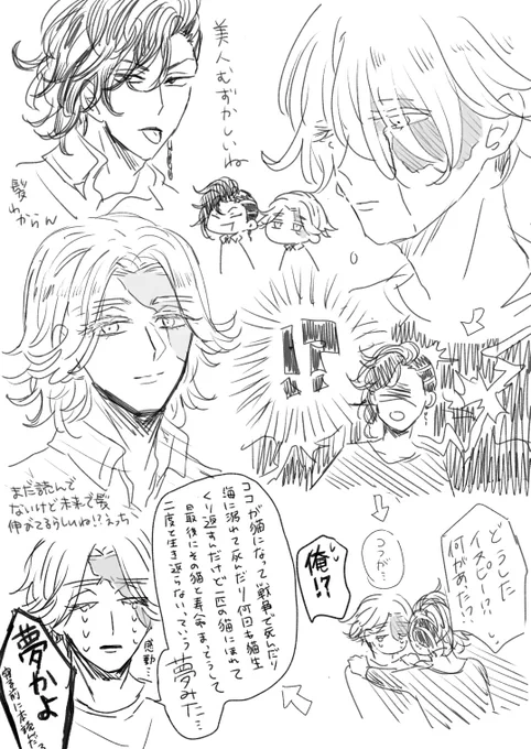 ココイヌココ 