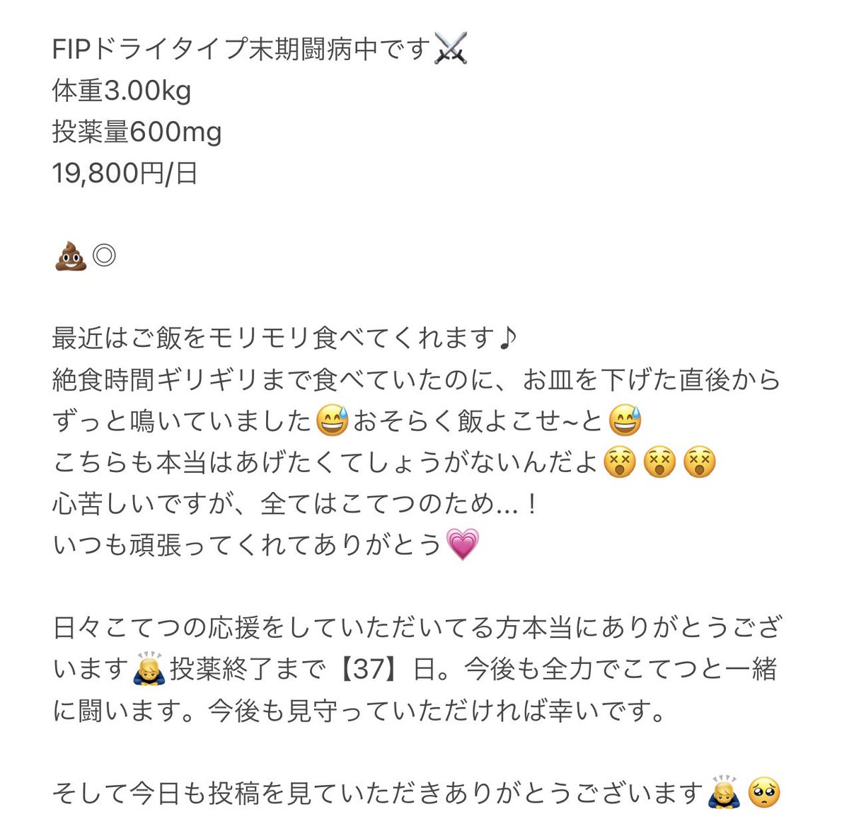 _kotekotetsu_'s tweet photo. 投薬47日目💊

📣クラウドファンディング📣
ご支援ご報告です💡

◎3/19  1,000円(1名様にご支援頂きました)
◎累計 85,000円
◎達成率 8.74%
https://t.co/rCdjgRqfFq

※反映までに時間がかかる場合がございます。反映されていない支援金につきましては、反映され次第ご報告させていただきます🙇‍♂️ https://t.co/Po9gVq9Sn6
