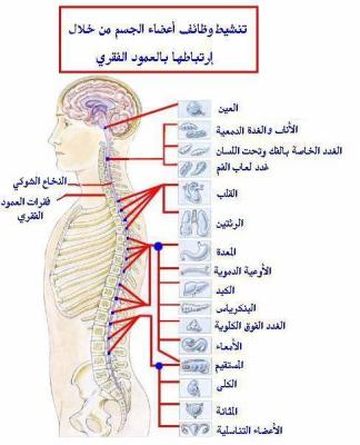 YousefNegash's tweet photo. https://t.co/dIoZgJbB2g