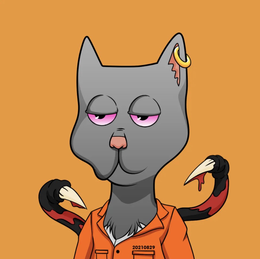 <a href="/binance/">Binance</a> <a href="/BossCatRC/">Boss Cat Rocket Club</a> this team just continues to deliver and the community is super tight knit. They are developing what will be the best metaverse of 2023, Boss Planet. Come check out what we are all about in our discord.