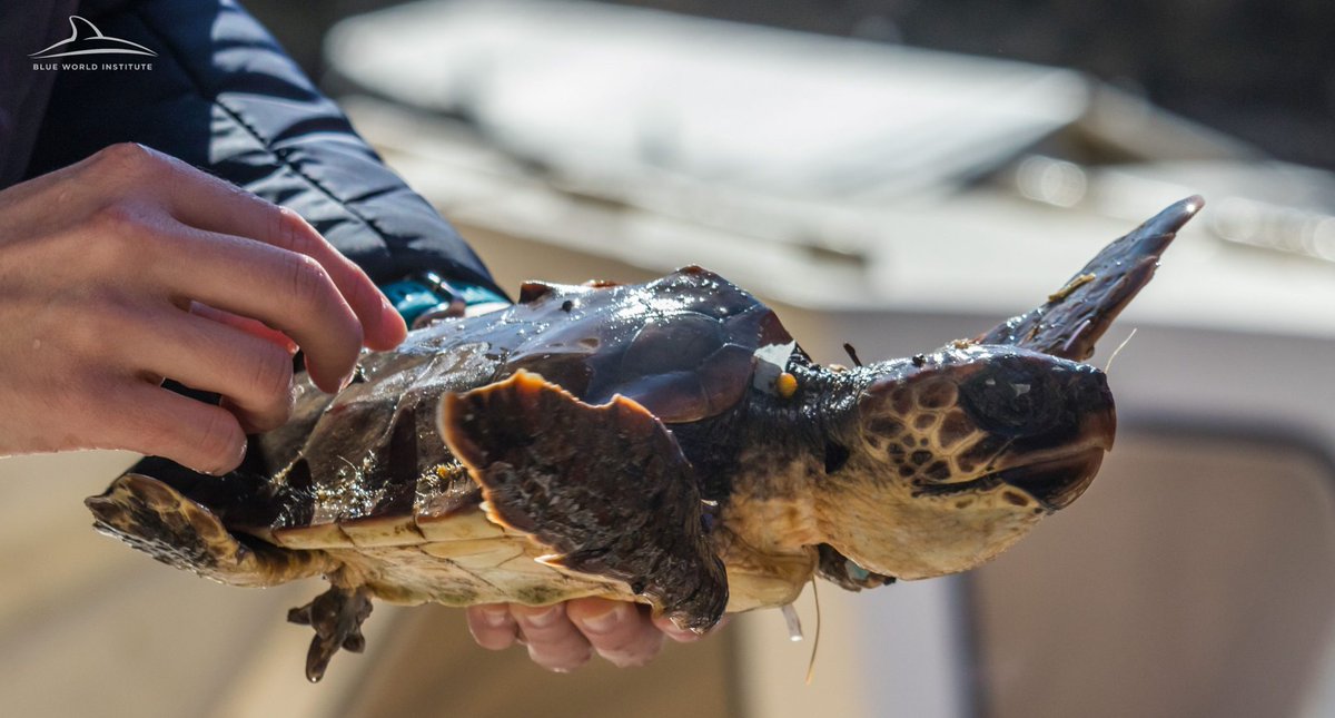 Inherit Interreg Mediterranean tweet media