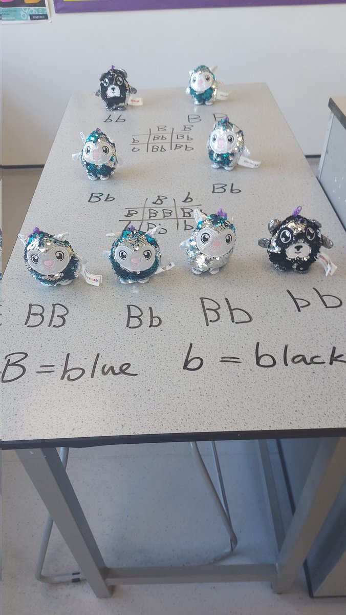 MrsWBio1's tweet photo. Thanks to @jmcdougallwelch for the idea. It worked a treat when revising with year 11 this week. https://t.co/XhIuEs0gJh