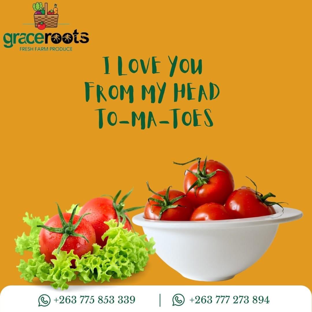 The best quality eggs &amp; tomatoes in town!