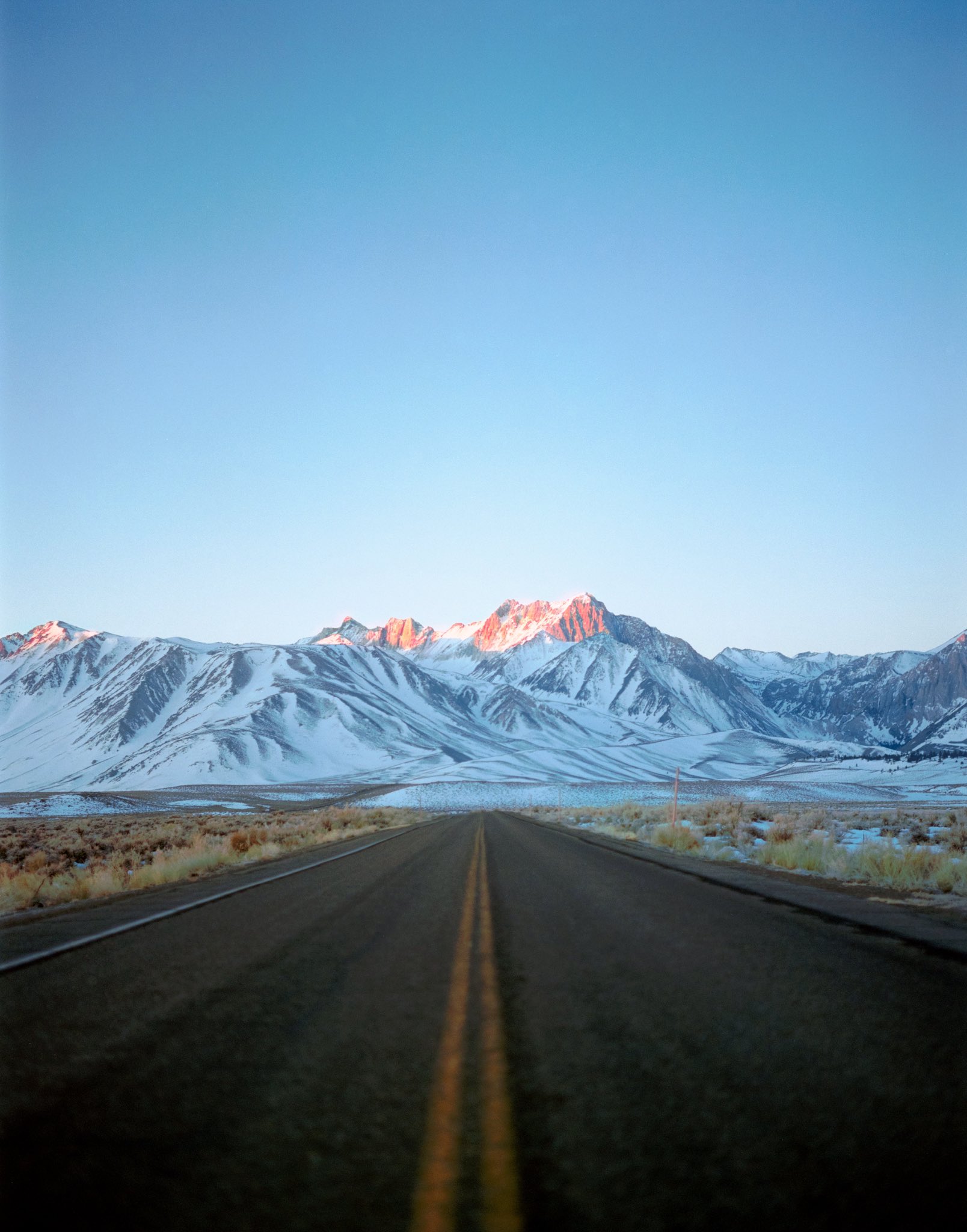 nick rufo on Twitter: 