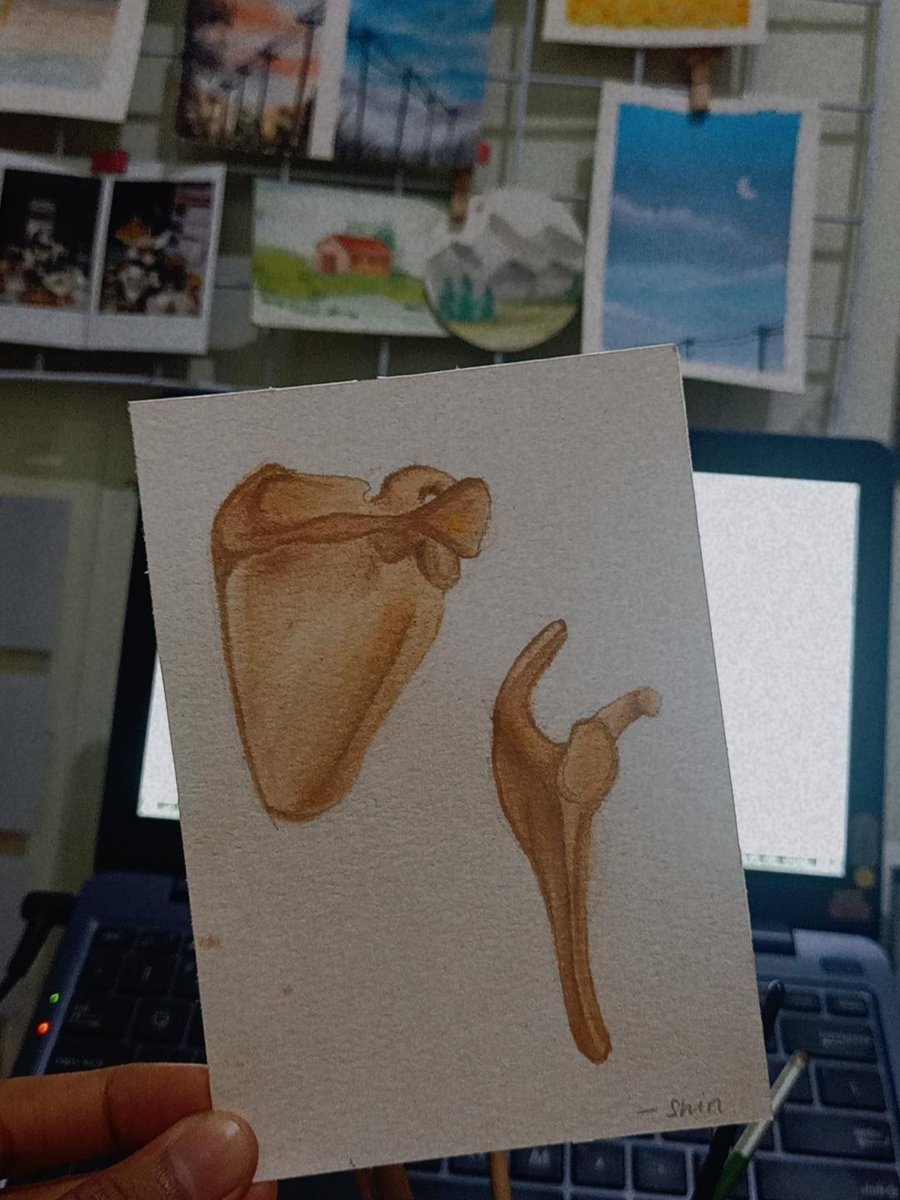twntyscndecnn's tweet photo. 🎨 Happy me—

🩻 https://t.co/V9PDywFIZa