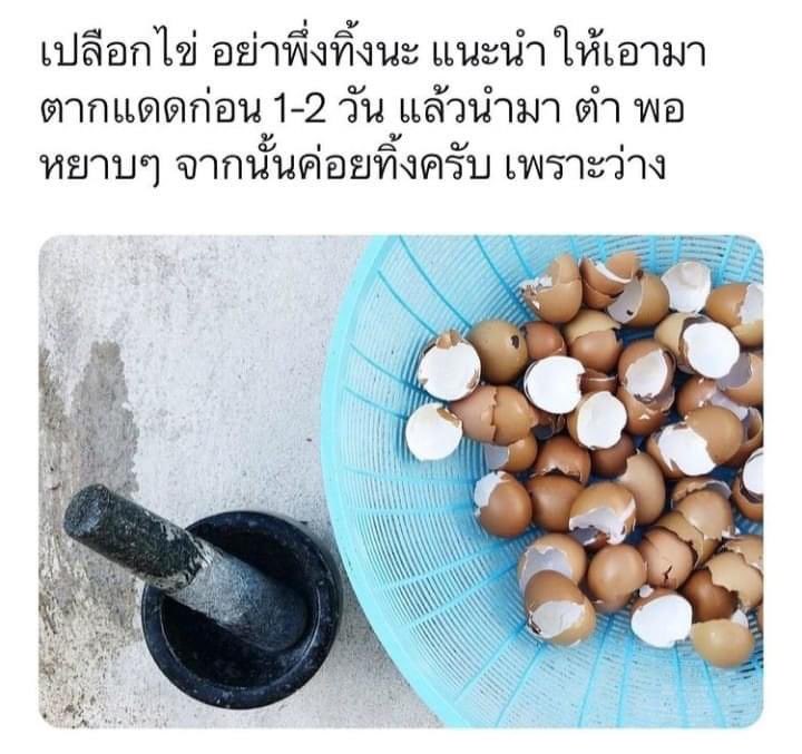 สาระมาฝาก