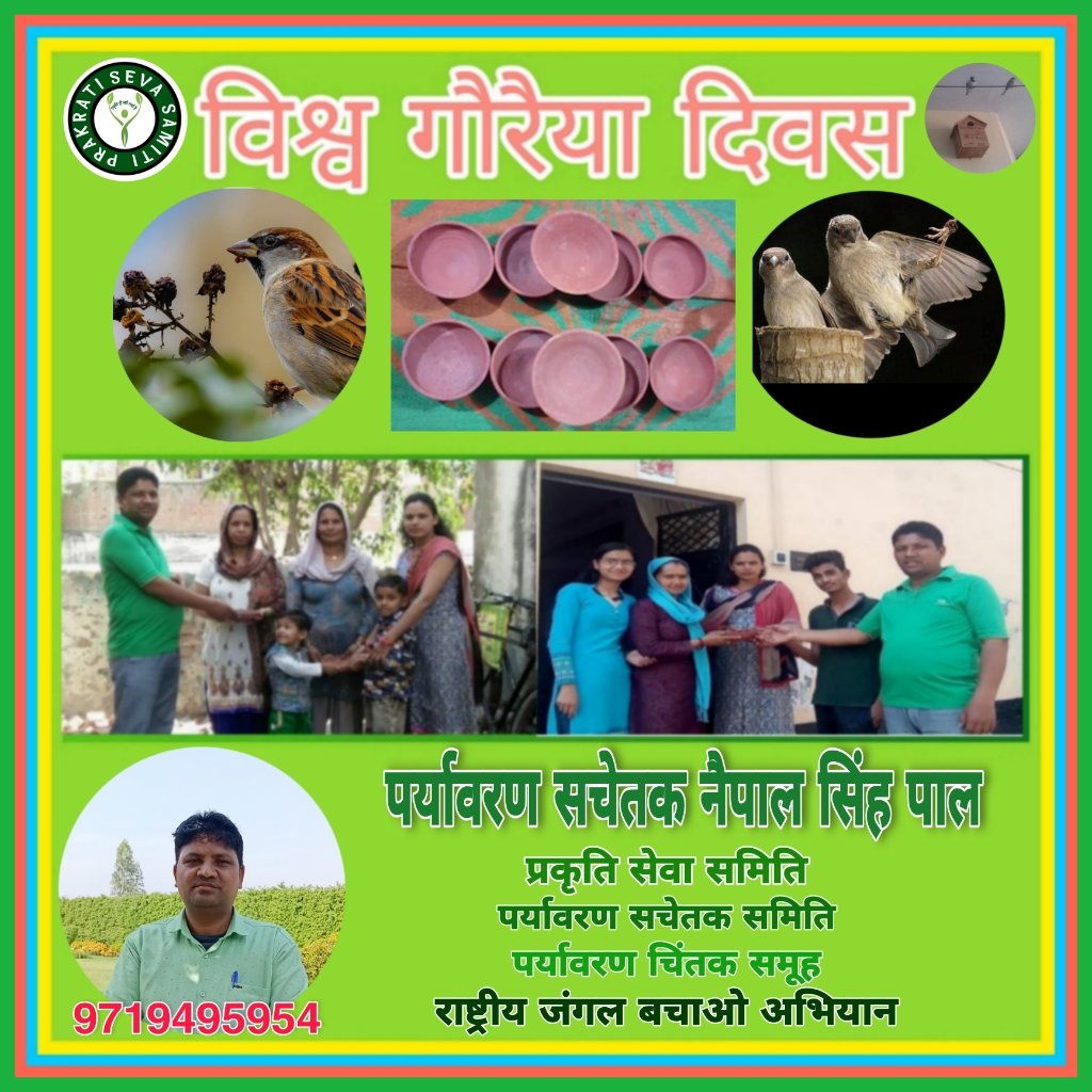 Naipal Singh Pal संघर्षशील बीएडटेट 2011पास अचयनित (@palnaipal) on Twitter photo 