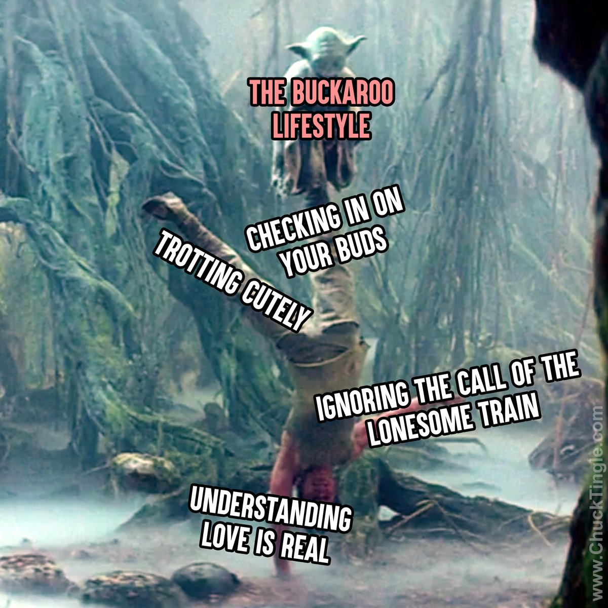 ChuckTingle's tweet photo. love is real https://t.co/XD3zwfw9qu