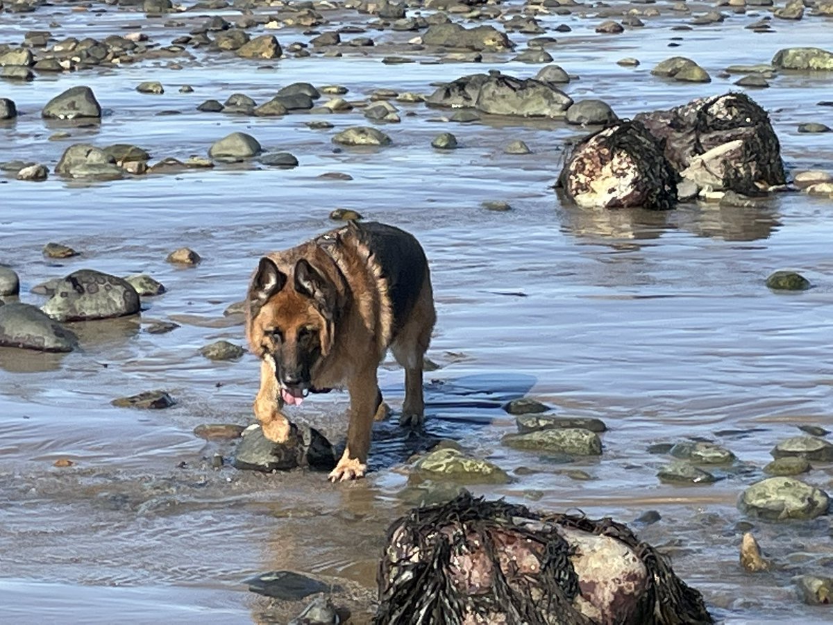 Aberdesach beach Snowdonia