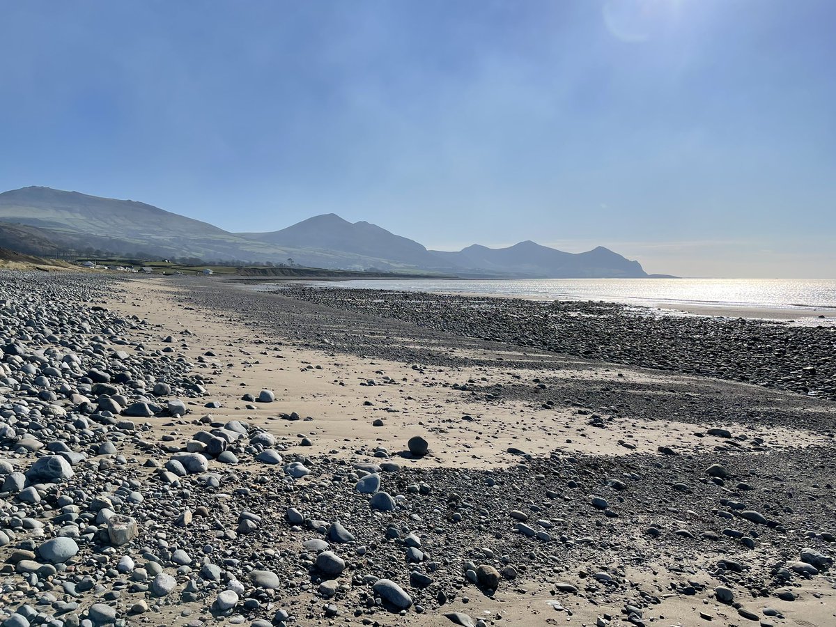 Nigel Bannister tweet media