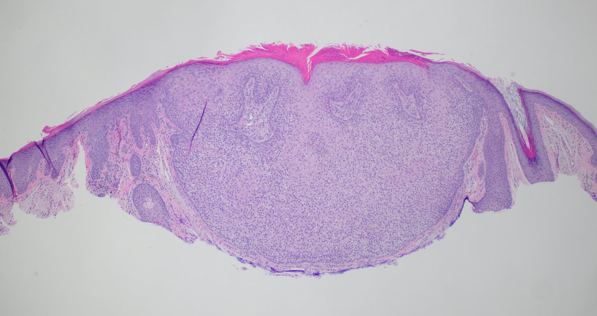 Signout Machine ⚙️ tweet media