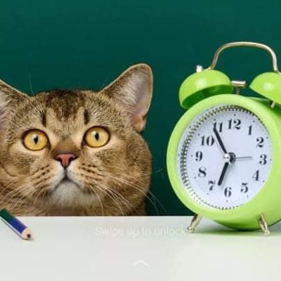 Gildrick1's tweet photo. #NewProfilePic https://t.co/okePsfPisU