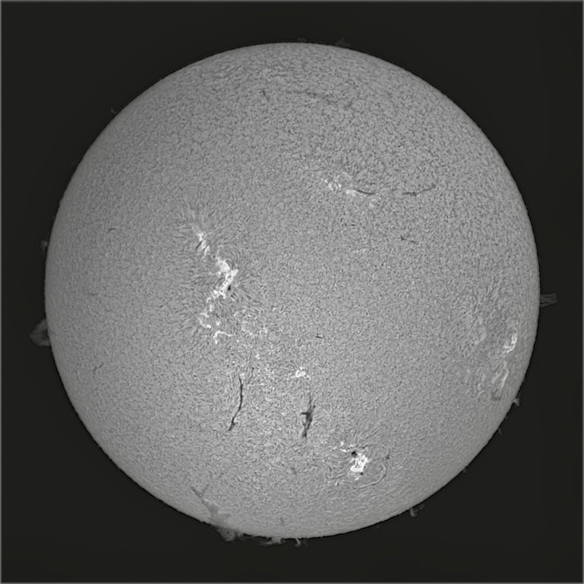 DenisecWright's tweet photo. Proud to be a #GrandStrandAstronomer #outreach #solarviewing #astronomy https://t.co/t9Bn70LbXN